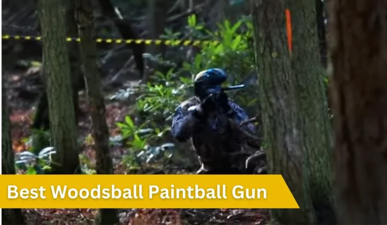 best-woodsball-paintball-gun