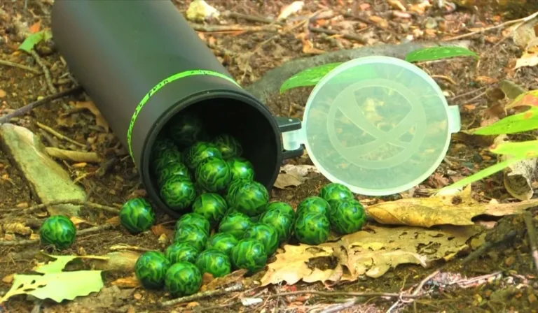 How Many Paintballs Are In A Case